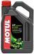 MOTUL 5100 10w-30 4L Моторна олива