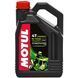 MOTUL 5100 15w-50 4L Моторное масло