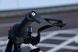 Защита рычага сцепления Oxford Lever Guard Racing